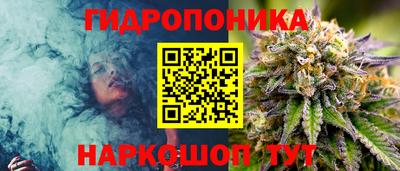 PSILOCYBIN Нальчик