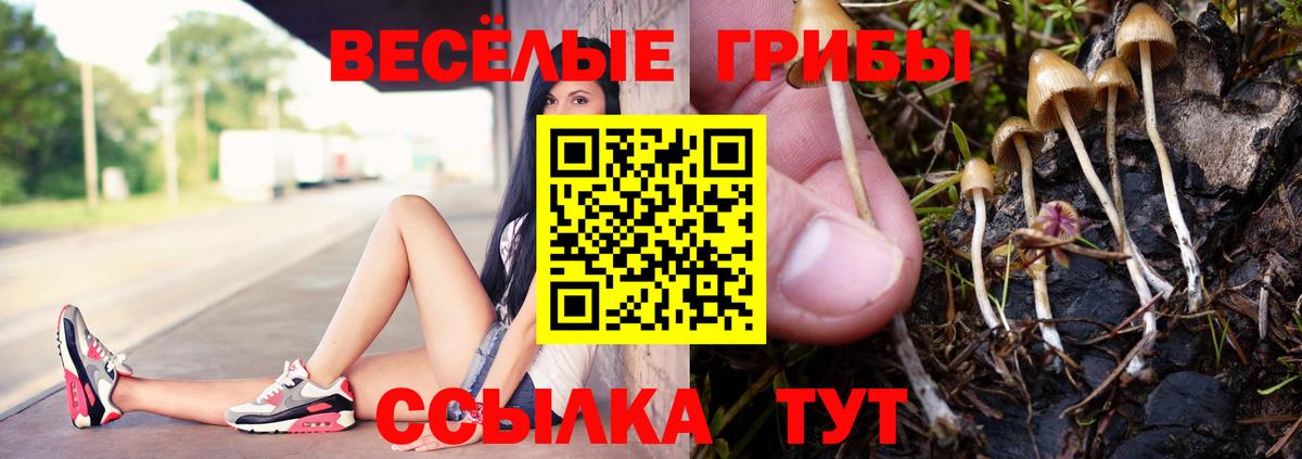 Сердобск  Псилоцибиновые грибы GOLDEN TEACHER  Вход с VPN 