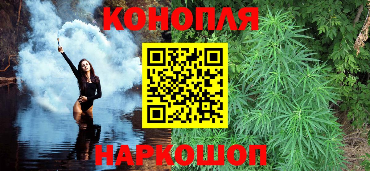 Бошки марихуана конопля Сердобск